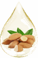 almond (1)