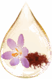 saffron